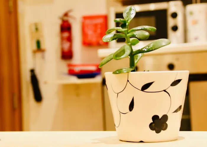 Charming In Republic Street * La Valeta